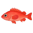 メヌケ