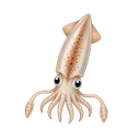 ムギイカ