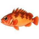 沖メバル