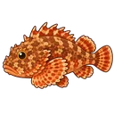 オニカサゴ