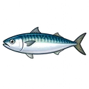 サバ